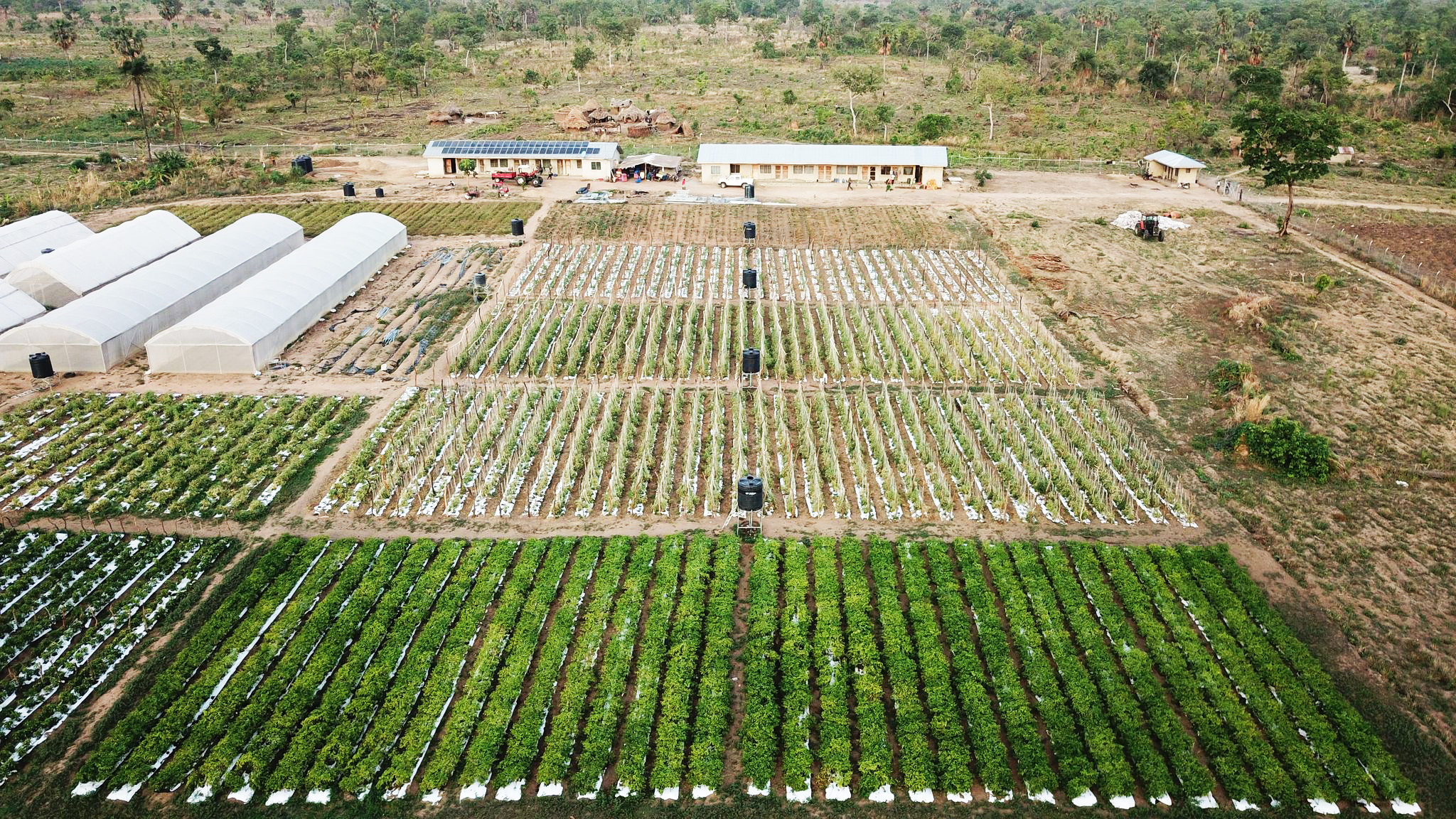 Food security infrastructure: An Overview of FMS Farms